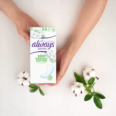 Always Dailies - Bellari